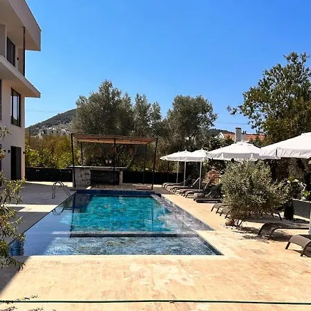Lionyx Home&suites Apartmanhotel *